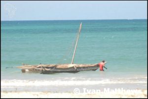 Tanzania - Kims Beach, collecting Coconuts and Gezaulole Village life photos