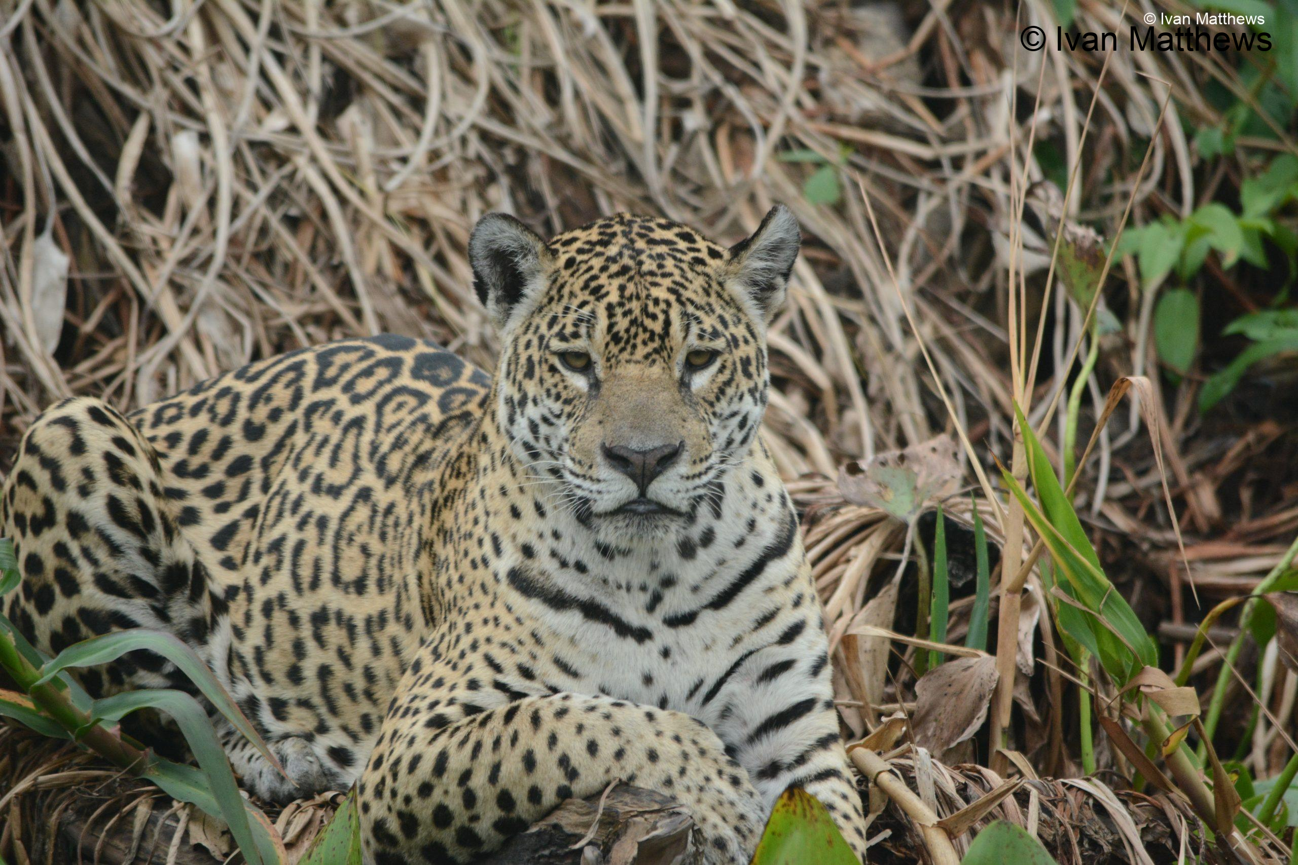 DSC_0185-scaled