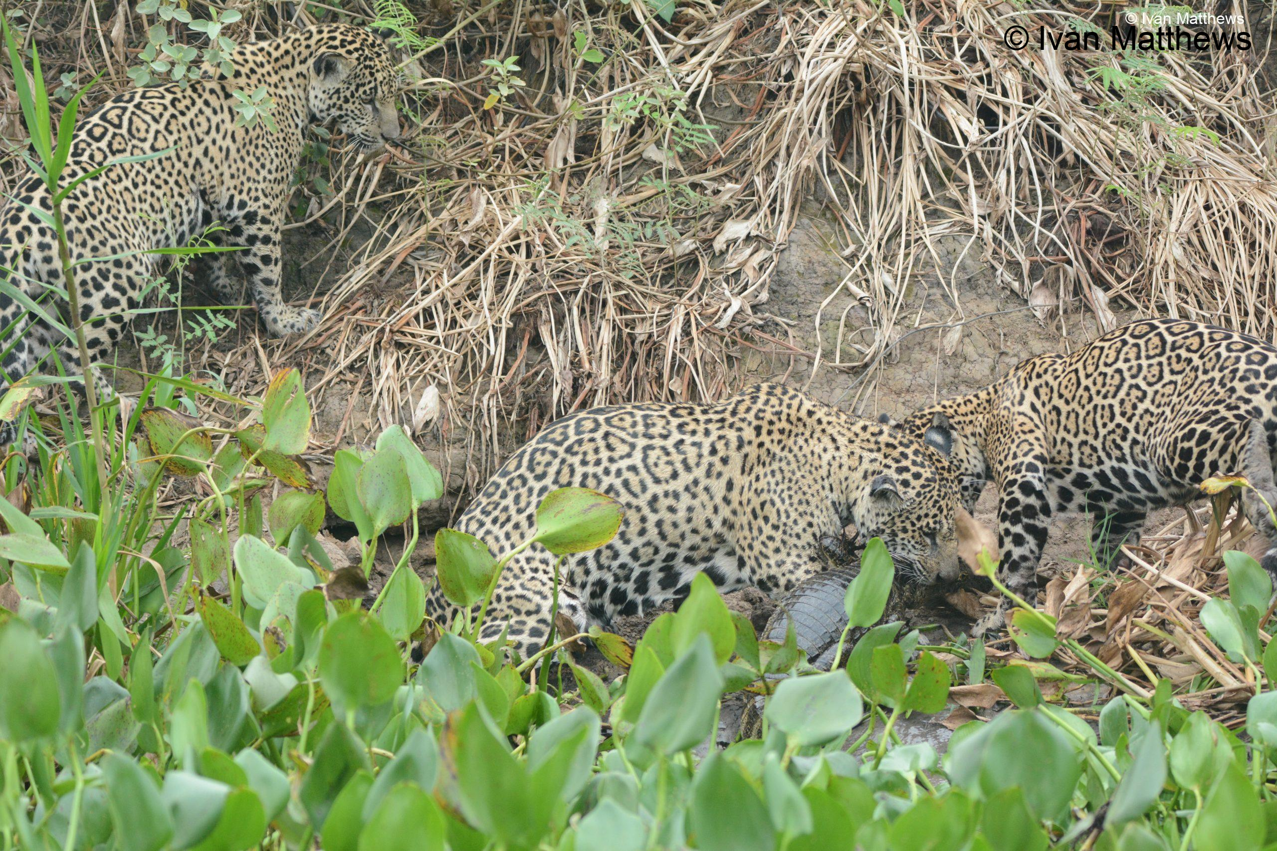 DSC_0220-scaled