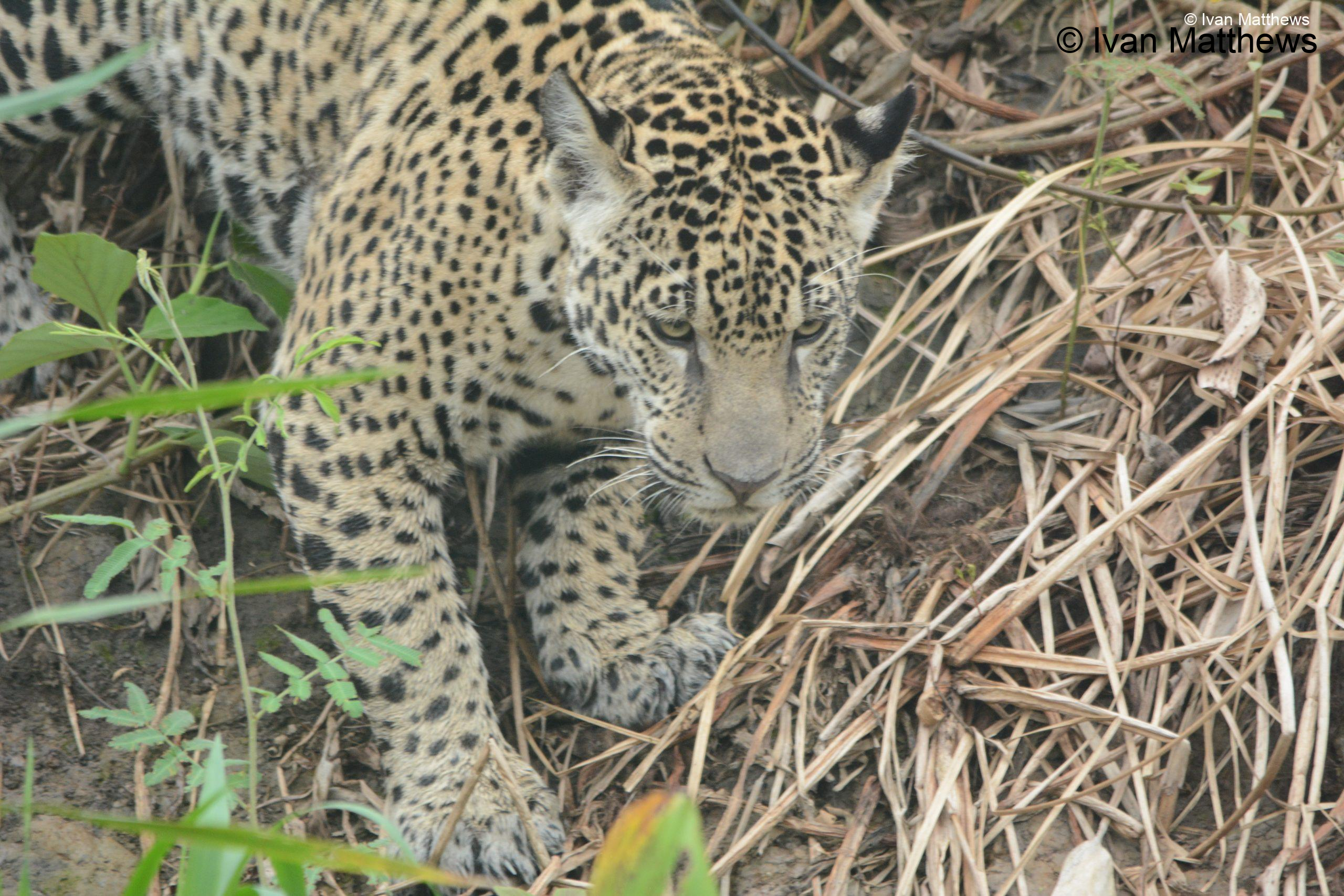 DSC_0255-scaled