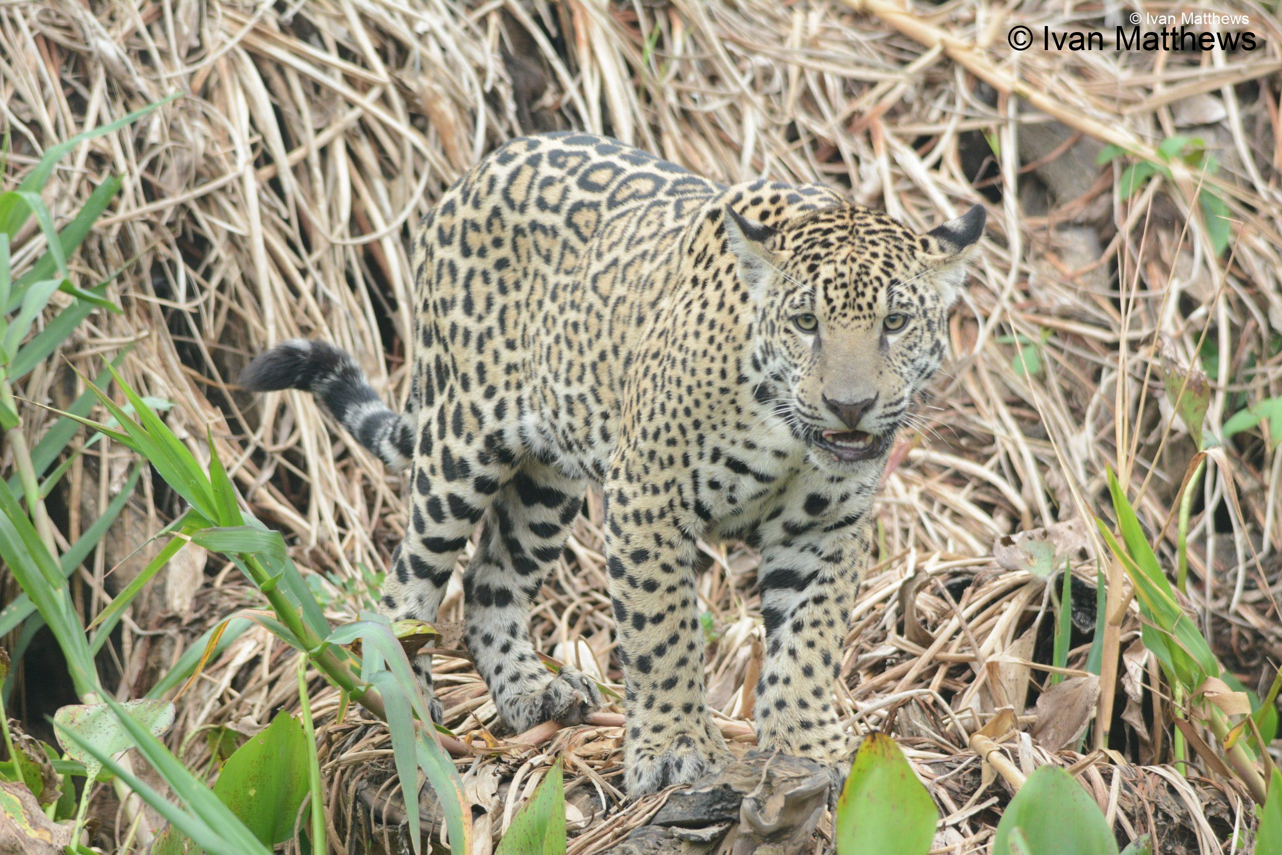 DSC_0329-scaled