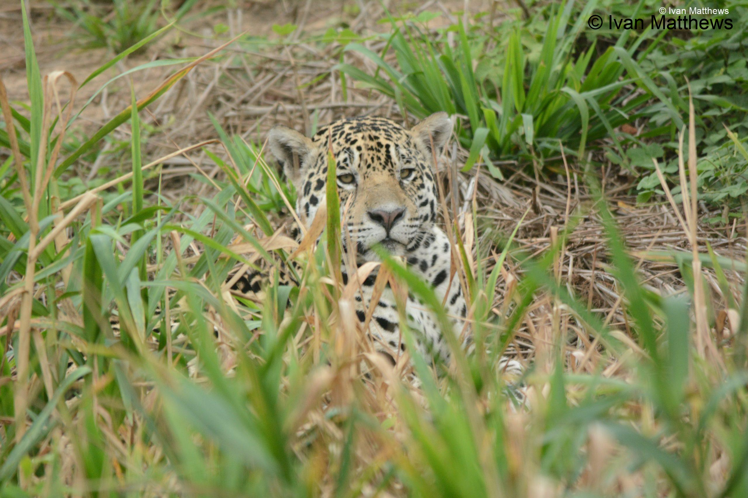DSC_0348-scaled
