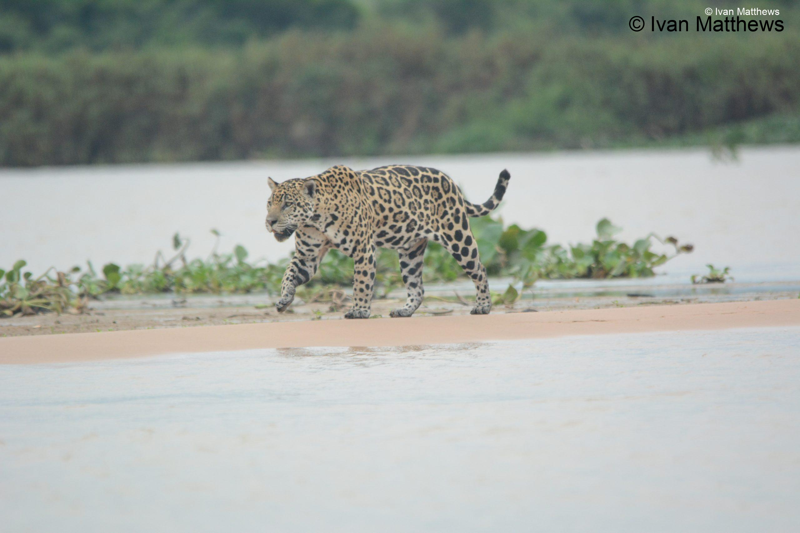 DSC_0460-scaled