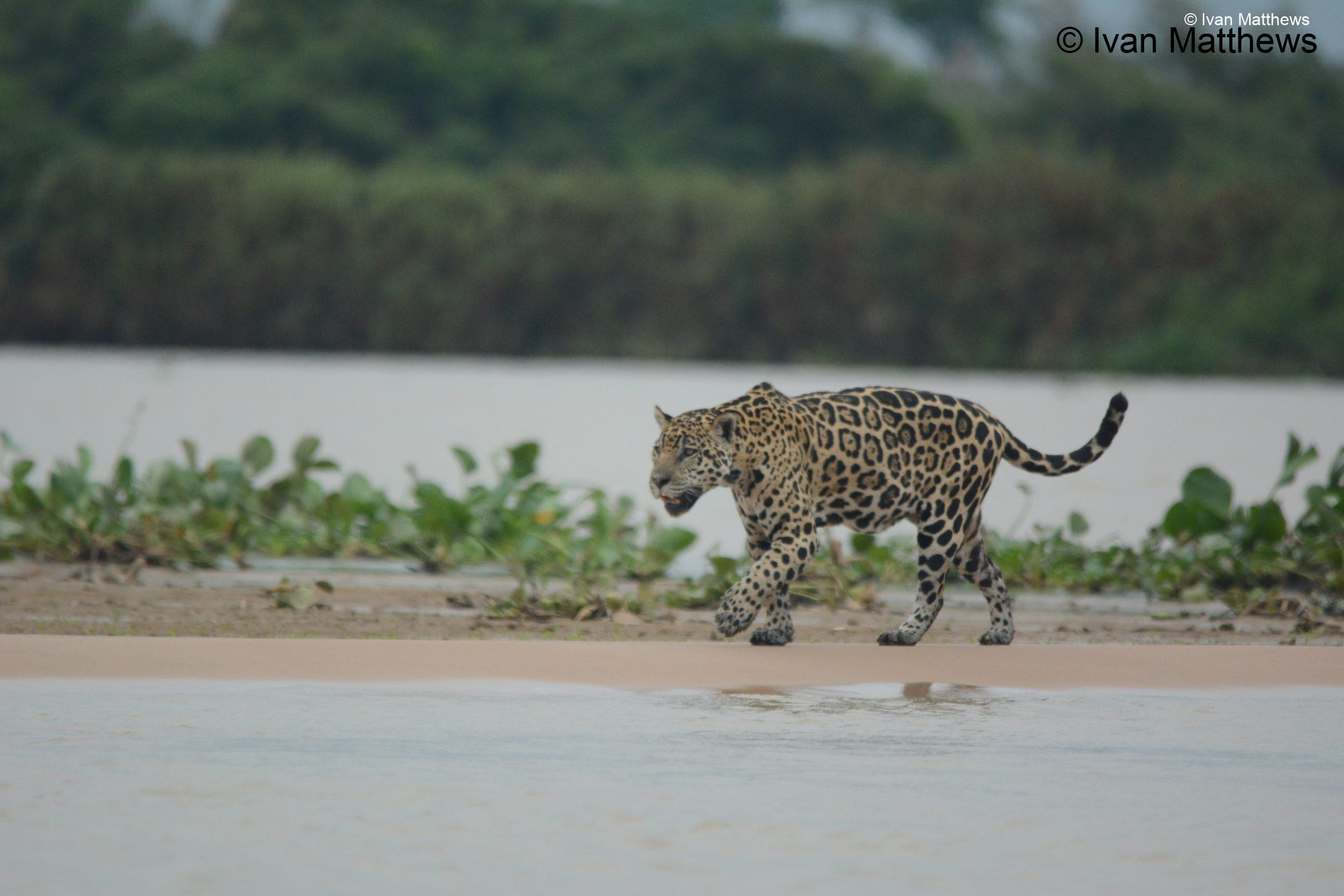 DSC_0462-scaled