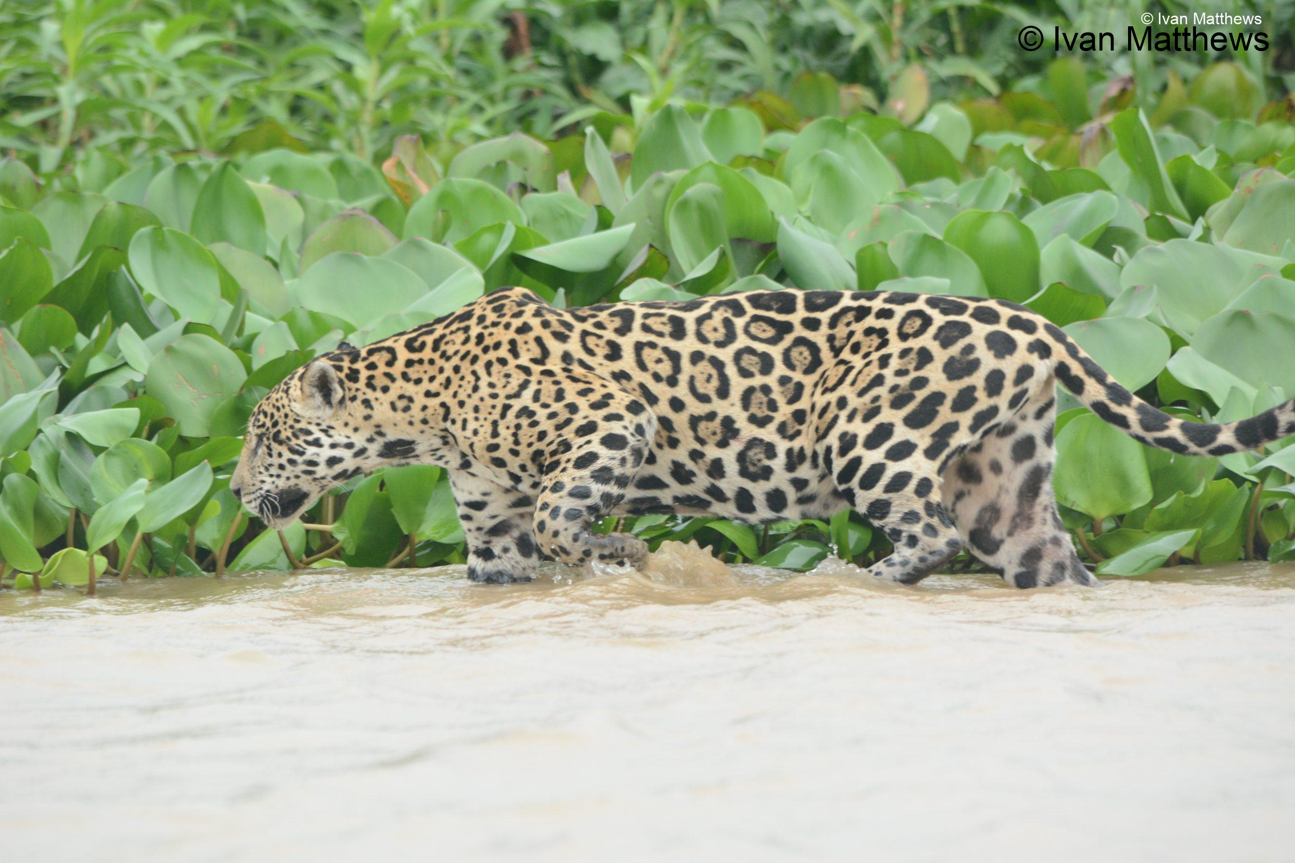 DSC_0541-scaled