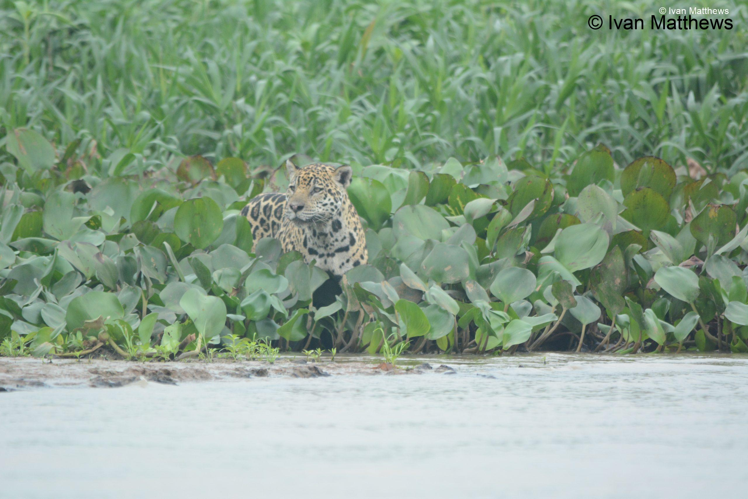 DSC_0550-scaled