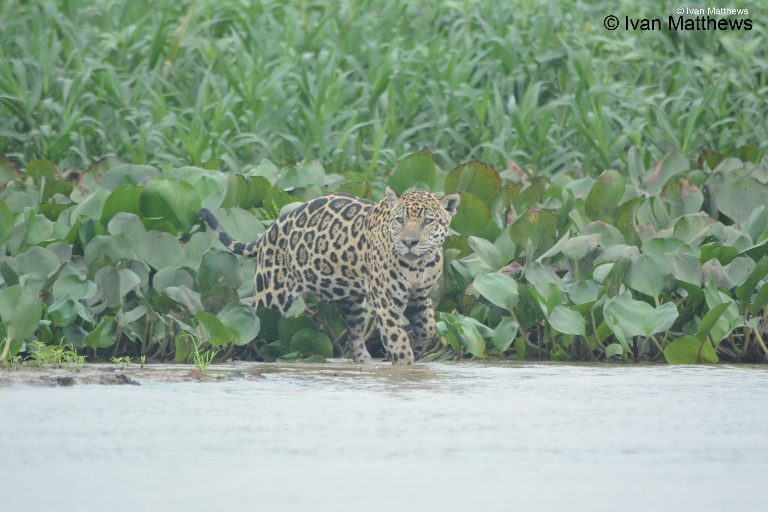 DSC_0557-scaled