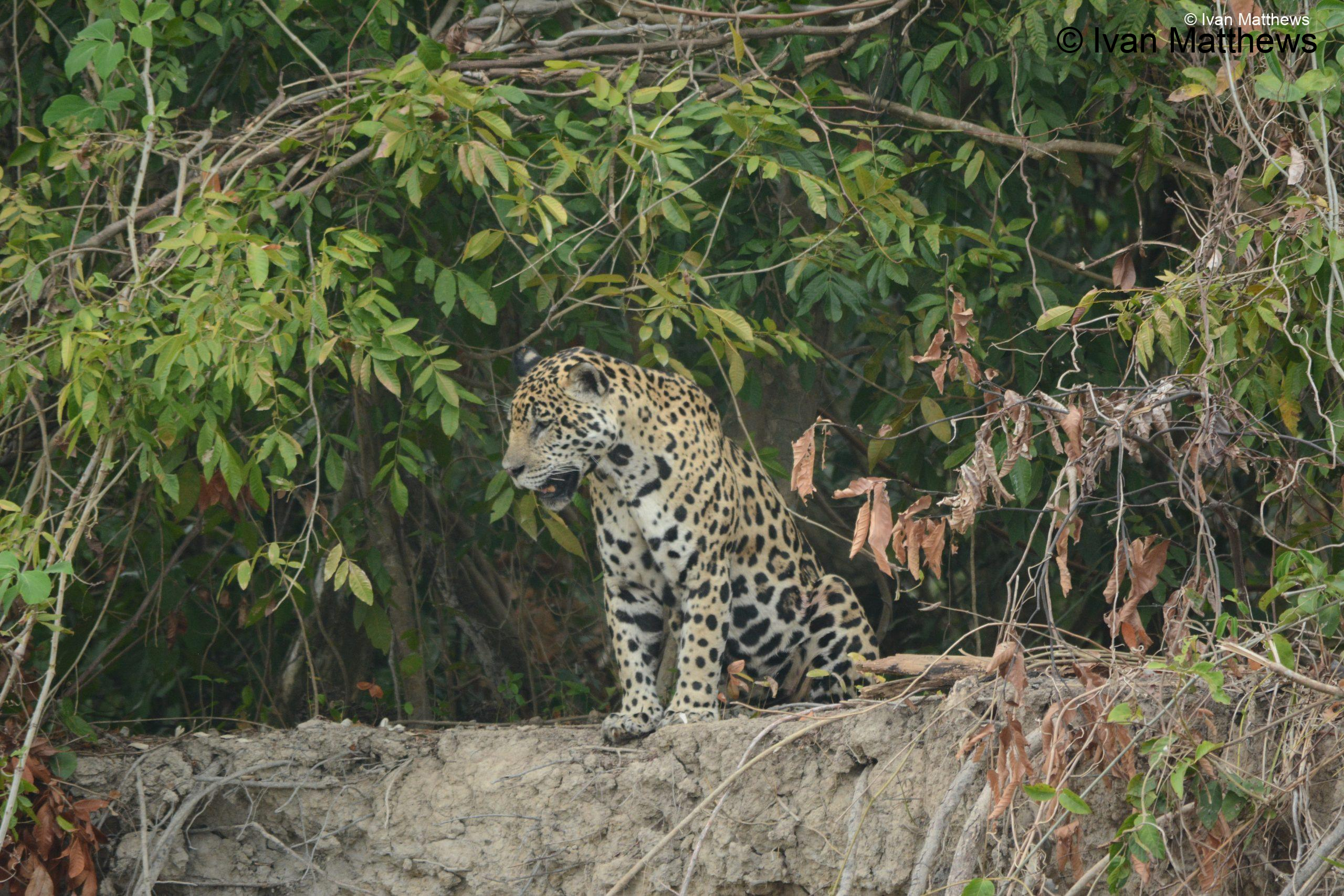 DSC_0608-scaled