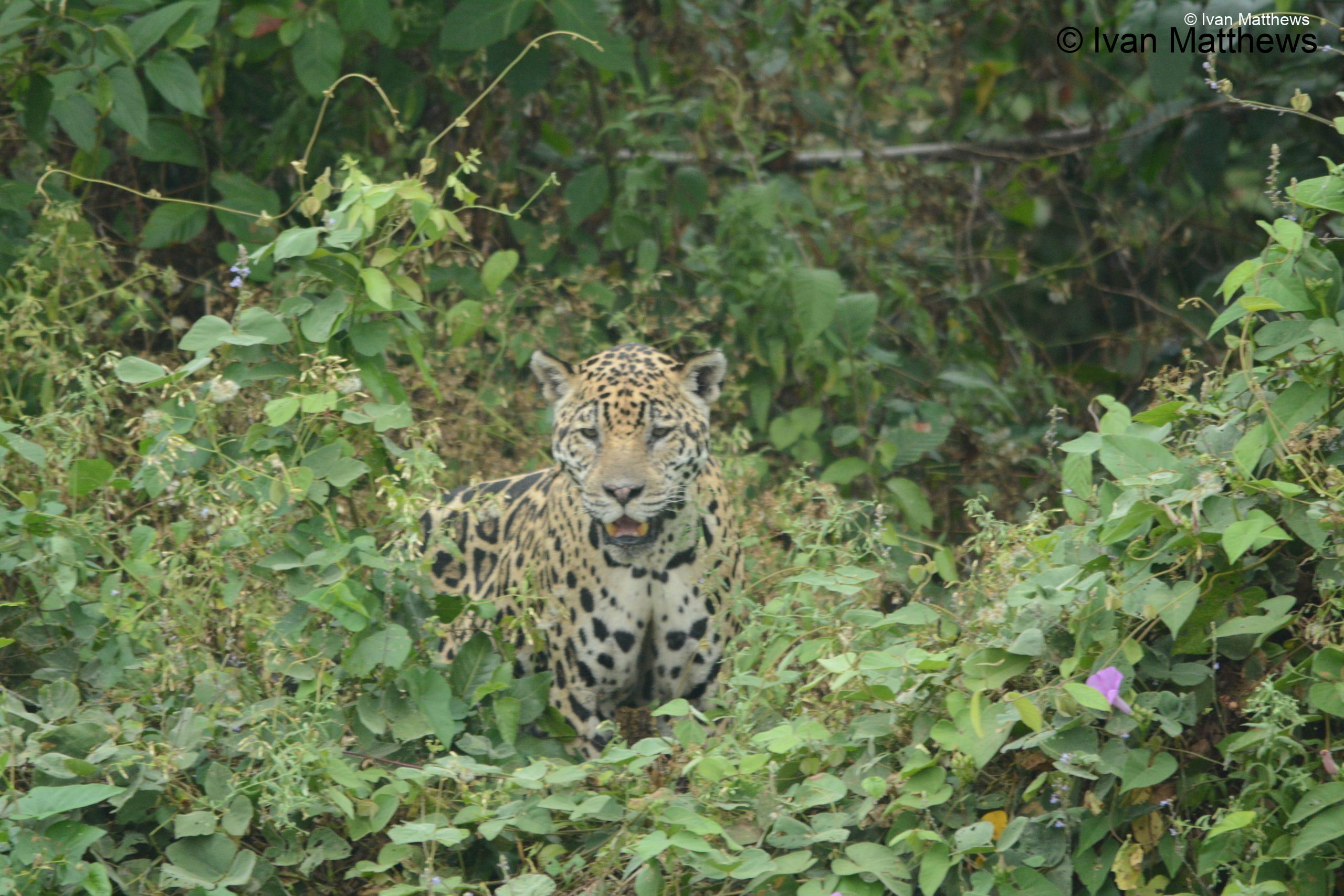 DSC_0624-scaled
