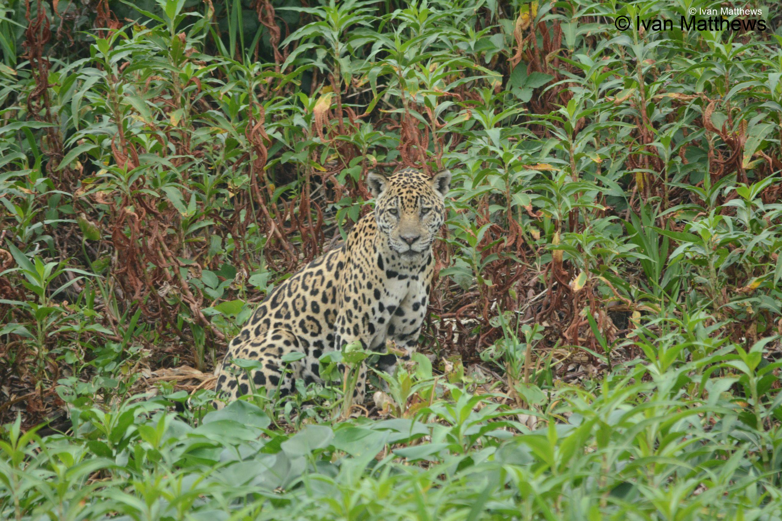 DSC_0666-scaled