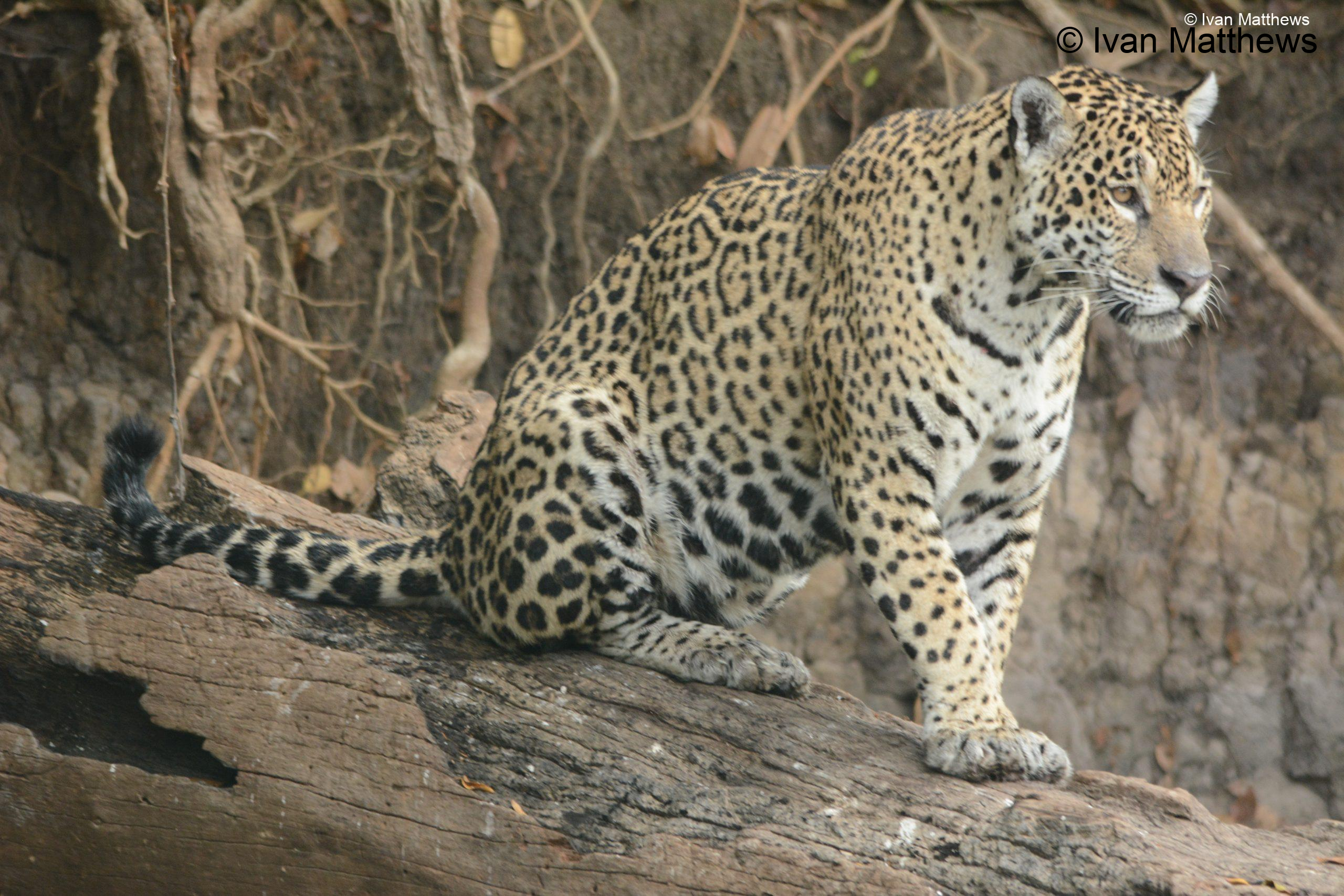 DSC_0727-scaled