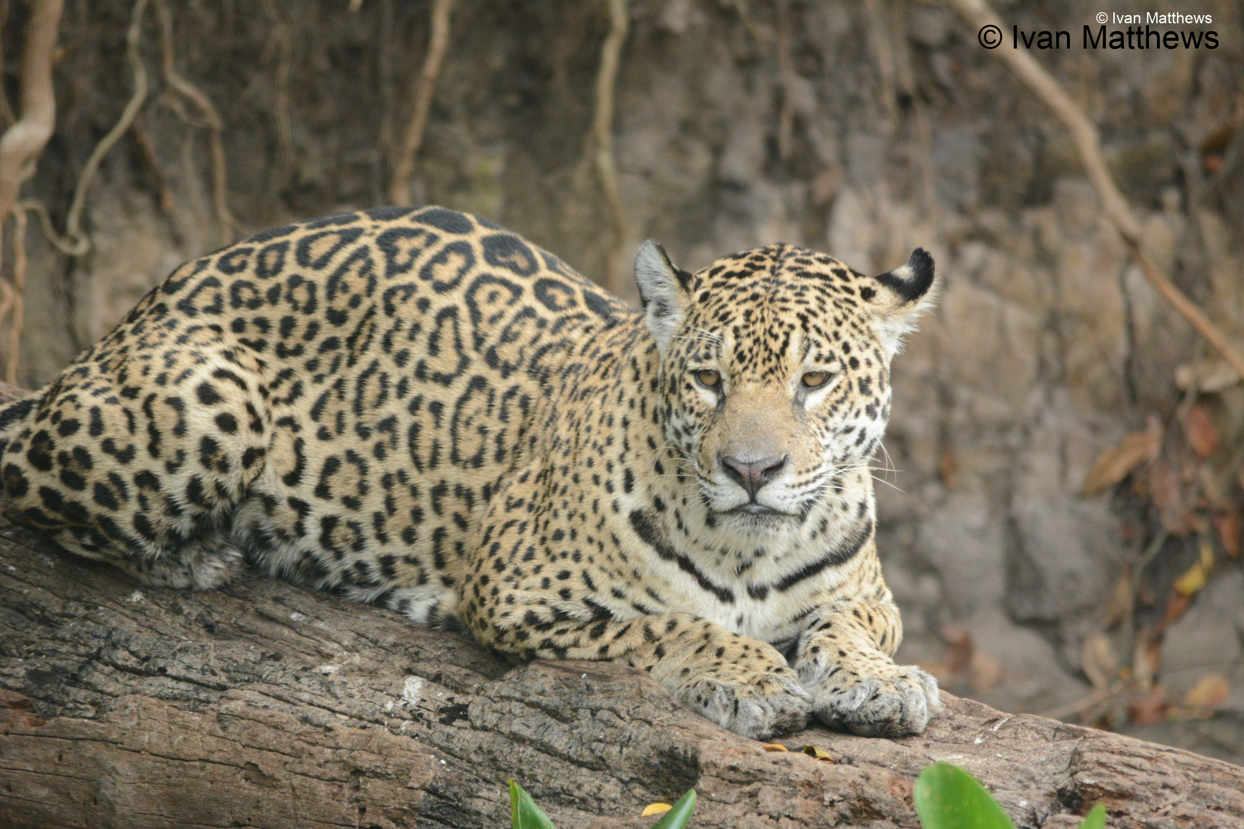 DSC_0748-scaled