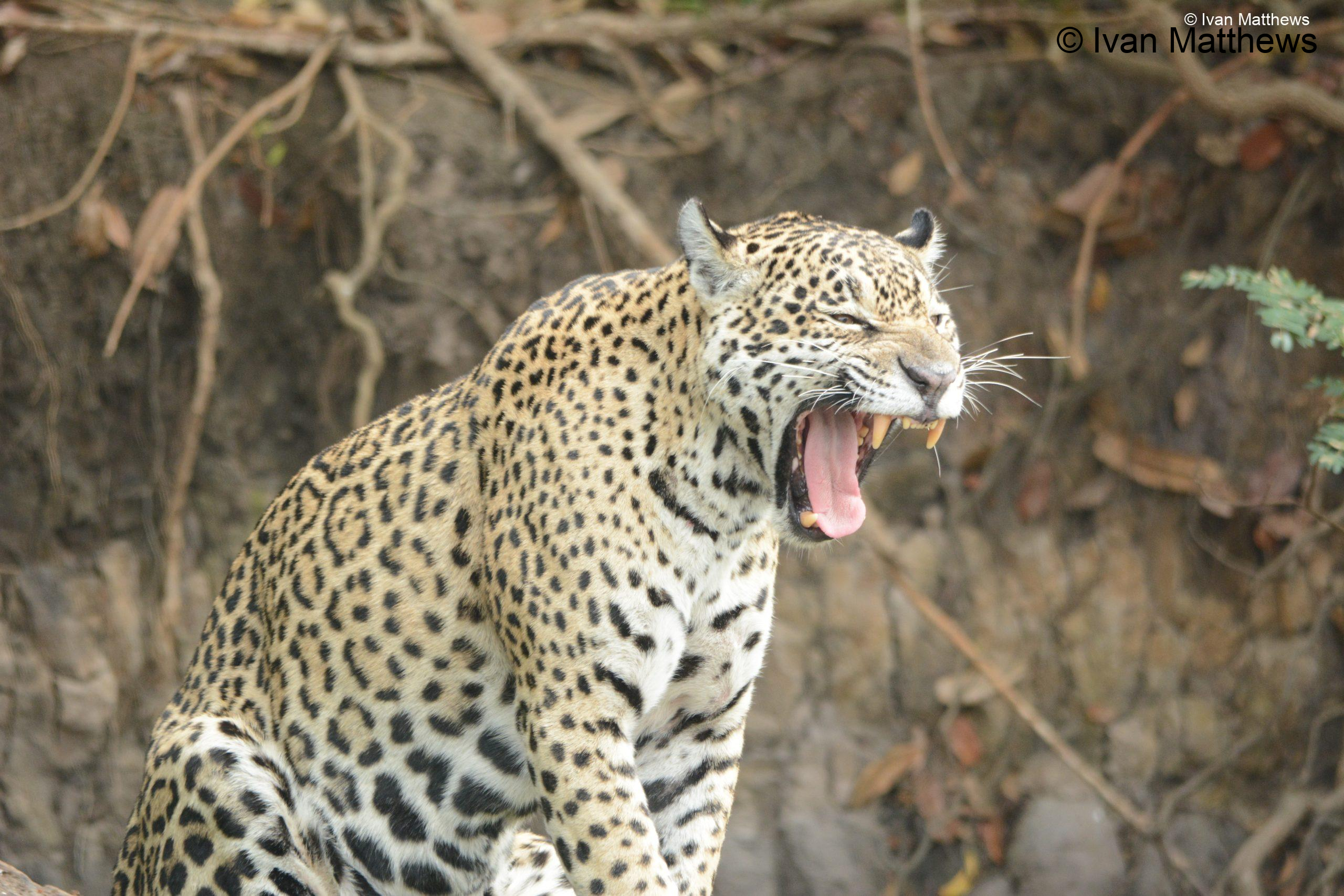 DSC_0792-scaled