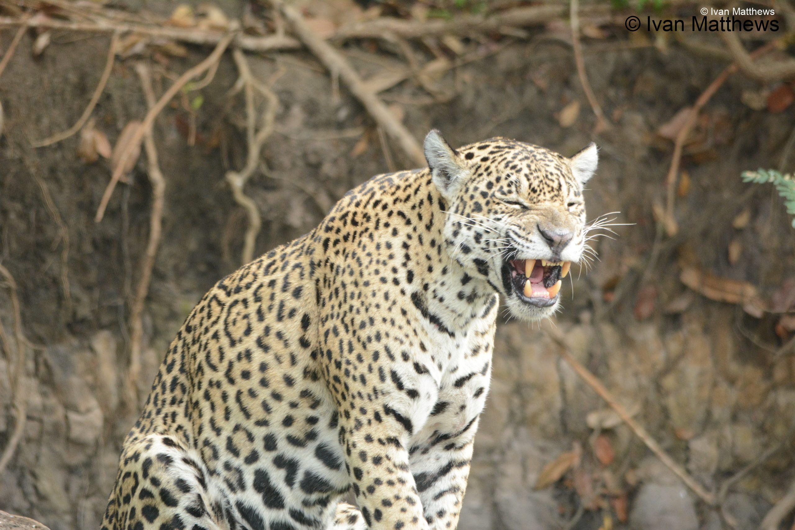 DSC_0794-scaled