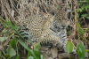 DSC_0171-scaled