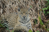 DSC_0185-scaled