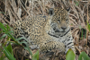 DSC_0188-scaled