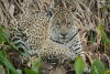 DSC_0191-scaled