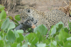 DSC_0200-scaled