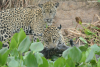 DSC_0209-scaled