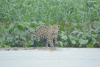 DSC_0557-scaled
