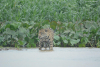 DSC_0565-scaled