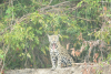 DSC_0618-scaled