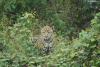 DSC_0624-scaled