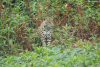DSC_0654-scaled