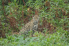 DSC_0666-scaled