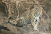 DSC_0724-scaled