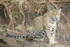 DSC_0752-scaled