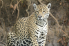 DSC_0764-scaled