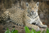 DSC_0777-scaled