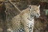 DSC_0787-scaled
