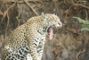 DSC_0790-scaled