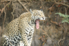 DSC_0791-scaled