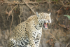 DSC_0793-scaled