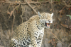 DSC_0794-scaled