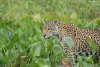 DSC_0799-scaled