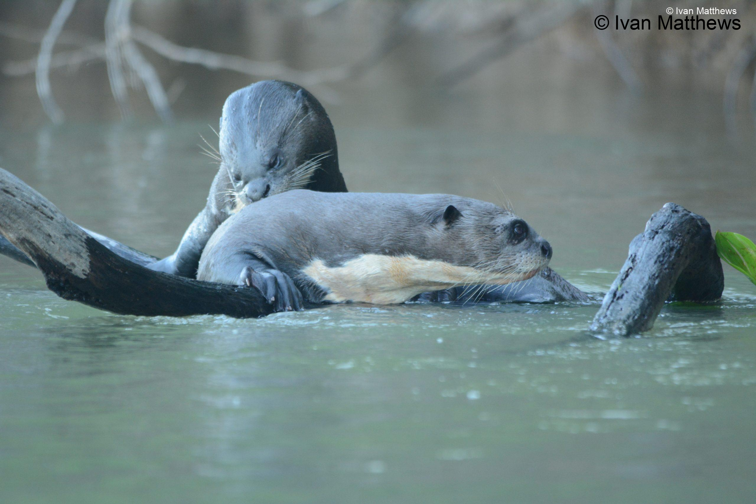 DSC_1007-scaled