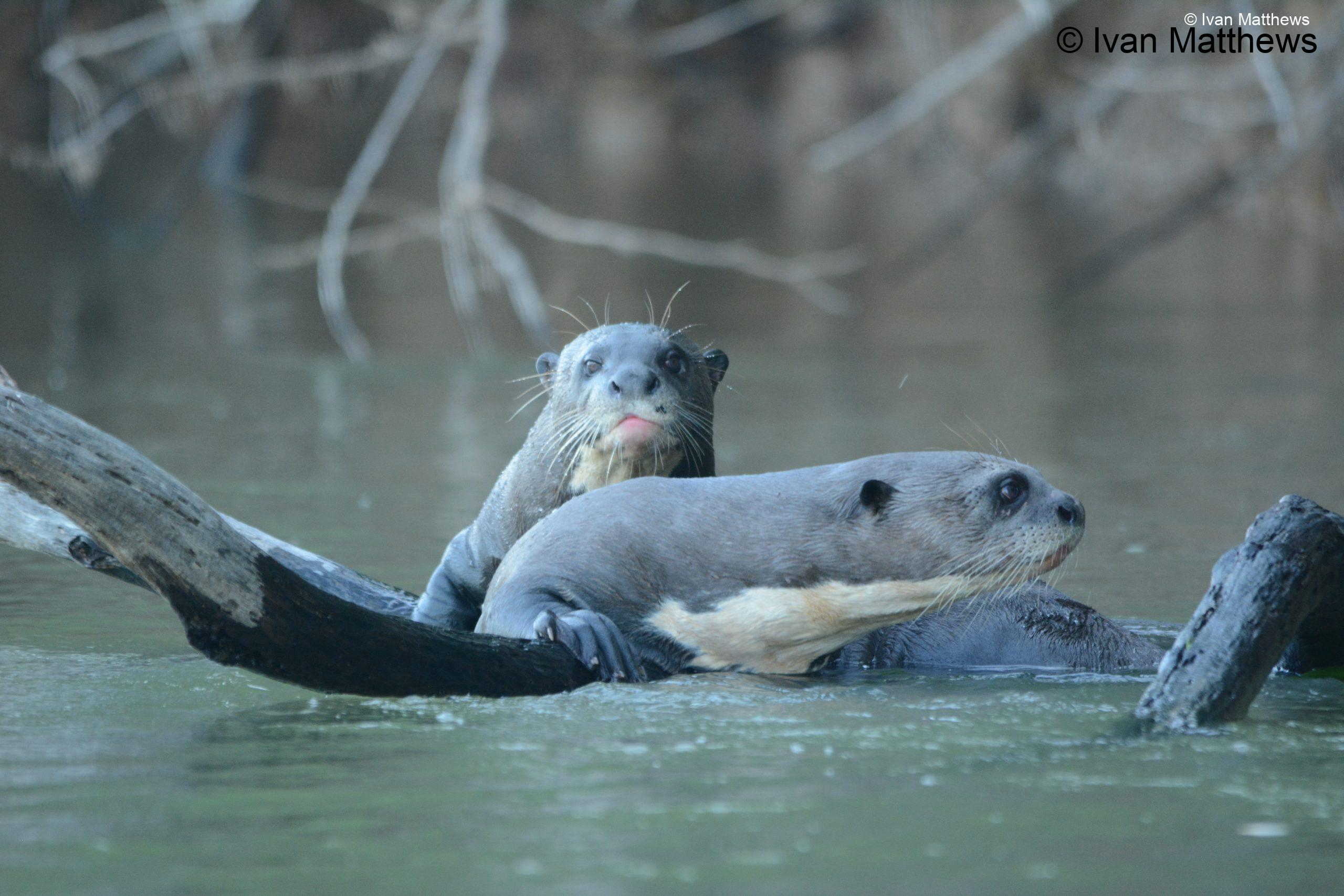 DSC_1010-scaled