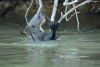DSC_0875-scaled