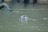 DSC_0891-scaled
