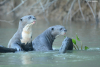 DSC_1001-scaled